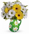 Darling Daisies Bouquet Premier Flowers from Cottage Florist, Lakeland Fl 33813
